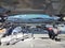 2024 GMC Sierra 2500HD 4WD Crew Cab Standard Bed Denali Ultimate